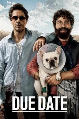 ดูหนังออนไลน์ฟรี DUE DATE คู่แปลก ทริปป่วน ร่วมไปให้ทันคลอด (2010)