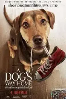 ดูหนังออนไลน์ฟรี A DOG’S WAY HOME (2019) เพื่อนรักผจญภัยสี่ร้อยไมล์